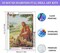 Diamond Painting Kits for Adults – Jesus 5D Diamond Art Kit for Beginners, Full Drill DIY Christ Gem Art Crafts for Home Decor 12x16 in